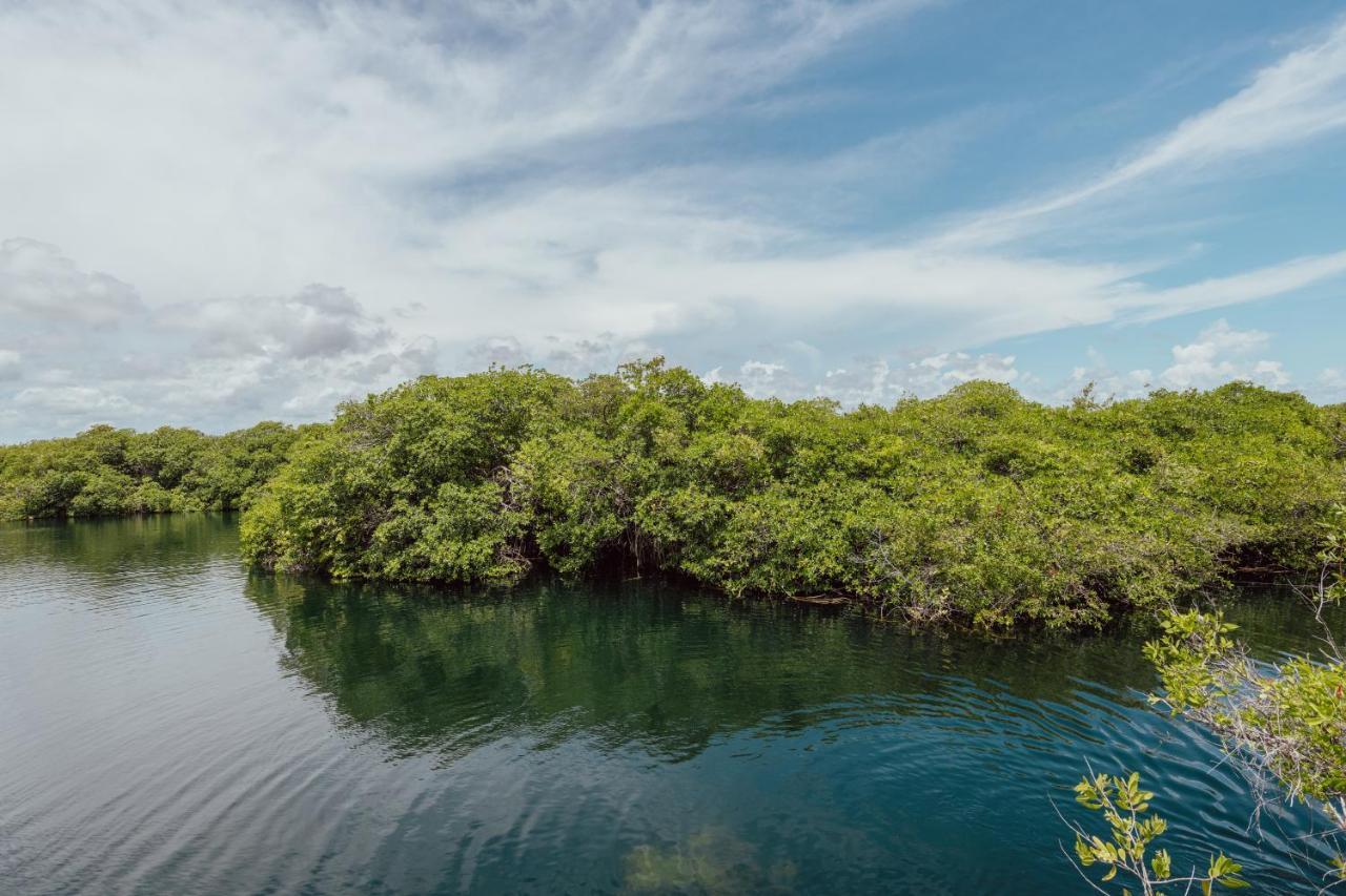Yaxchen Tulum Eco Lodge&Cenote Exterior foto